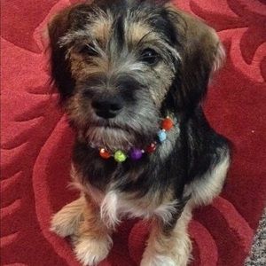 Meet your Posher, Marci